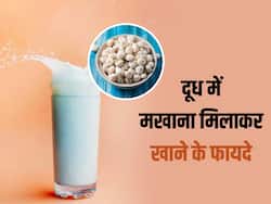 दूध में मखाना मिलाकर खाने से दूर होगी कमजोरी, सेहत को मिलेंगे ये 5 जबरदस्त फायदे