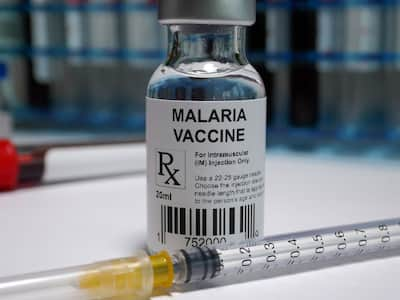 Malaria Vaccine In India Soon, Dengue Care In One Year: Serum Institute