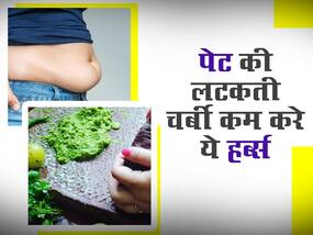 फूलते पेट की चर्बी को पिघला सकती ये जड़ी-बूटियां, रोजाना इस तरह करें सेवन