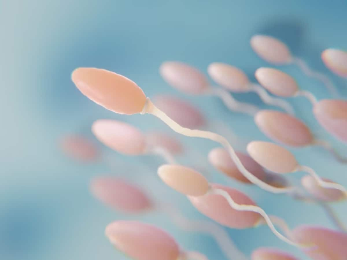 Treatment For Male Infertility All You Need To Know About Semen