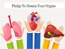 Donor Matching Guide: Advancements In Techniques For Optimal Transplant Compatibility