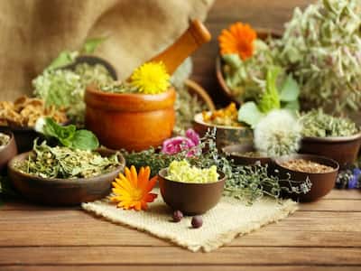 How Will The Ayurveda Wellness Market Shape Up In The Next 10 Years?