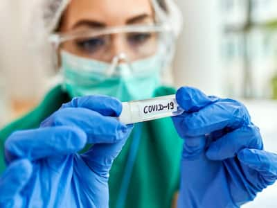 Swine Flu, COVID-19, SARS: The ‘3R Strategy’ To Minimize The Risk Of Outbreak Of Zoonotic Diseases