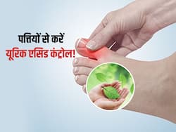 यूरिक एसिड के क्रिस्टल को बाहर फेंक सकती हैं ये  5 पत्तियां, इस तरह करें इस्तेमाल