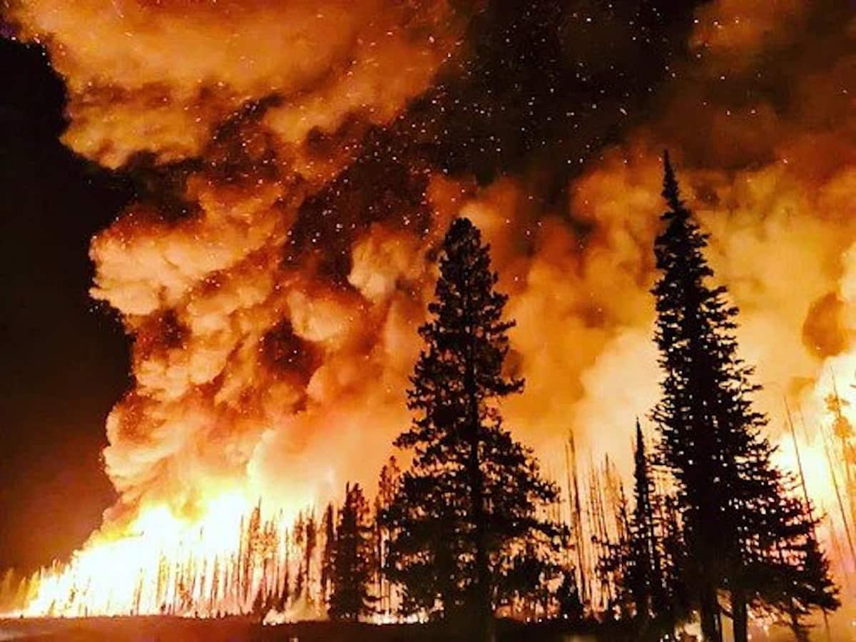 Premium AI Image | Blazing wildfire engulfs vast forest devouring everything