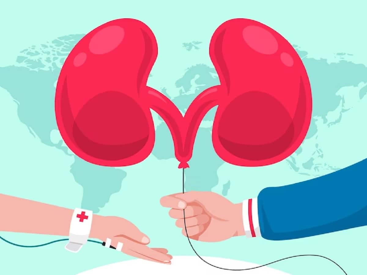 World Organ Donation Day: Dos and Don’ts To Follow After Kidney Donation