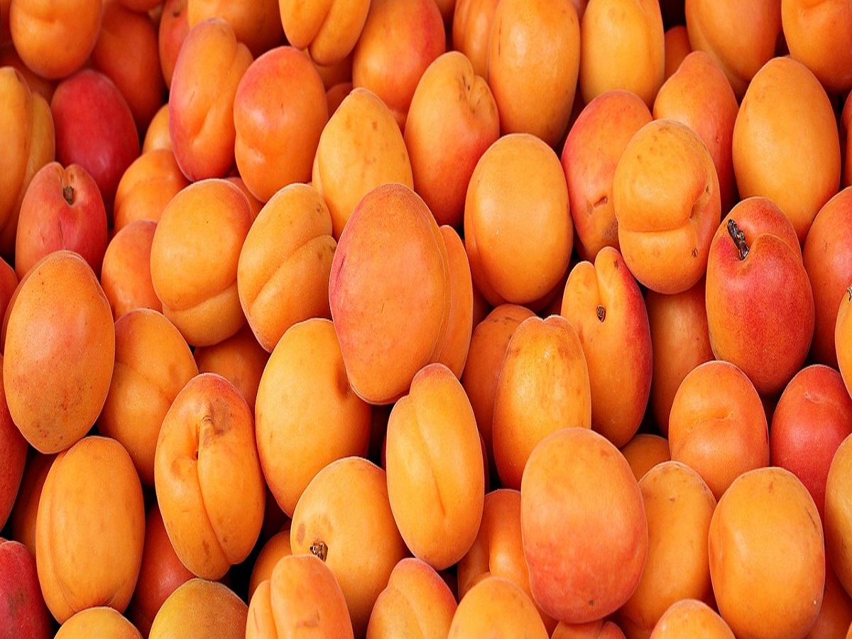 Apricots For Iron Deficiency: 8 Health Benefits Of Khubani