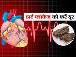 हार्ट ब्लॉकेज को खोल देती है ये छोटी सी लकड़ी, धमनियों से गंदा कोलेस्ट्रॉल भी हो जाता है खत्म!