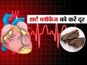 हार्ट ब्लॉकेज को खोल देती है ये छोटी सी लकड़ी, धमनियों से गंदा कोलेस्ट्रॉल भी हो जाता है खत्म!