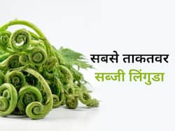 Benefits Of Linguda: सबसे ताकतवर सब्ज़ियों में शामिल है ये पहाड़ी सब्ज़ी, ड्राई फ्रूट्स से भी ज्यादा एनर्जी