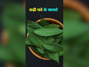 वजन कम करने के लिए कढ़ी पत्ते के फायदे