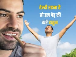 рдиреАрдо-рдмрдмреВрд▓ рд╣реА рдирд╣реАрдВ рдЗрди 5 рдкреЗрдбрд╝реЛрдВ рдХреА рджрд╛рддреБрди рдХрд░рдиреЗ рд╕реЗ рдорд┐рд▓реЗрдВрдЧреЗ рдХрдИ рдЬрдмрд░рджрд╕реНрдд рдлрд╛рдпрджреЗ, рд╢рд░реАрд░ рдХреЗ рдЕрдВрджрд░ рдХреА рдмреАрдорд╛рд░рд┐рдпрд╛рдВ рднреА рд╣реЛрдВрдЧреА рд╕рд╛рдл