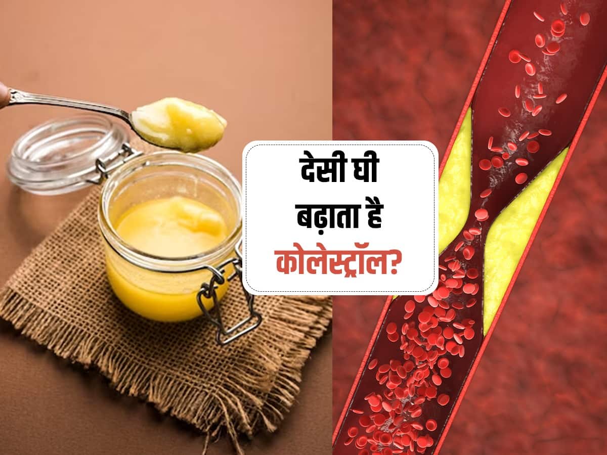 Desi Ghee Khane Se Cholesterol Badhta Hai Kya क्या घी आपके