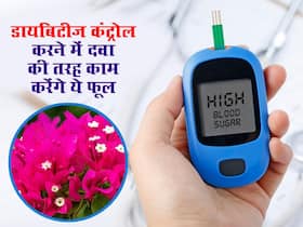 सड़क किनारे खड़ा फूल का पेड़ शरीर से ब्लड शुगर की करेगा छुट्टी, ये है डायबिटीज कंट्रोल करने वाला खास नुस्खा सड़क किनारे खड़ा फूल का पेड़ शरीर से ब्लड शुगर की करेगा छुट्टी, ये है डायबिटीज कंट्रोल करने वाला खास नुस्खा