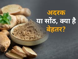 सोंठ और अदरक में क्या अंतर है और कौन है ज्यादा फायदेमंद