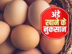 क्या आप जानते हैं रोजाना अंडे खाने से आ सकता है हार्ट अटैक? जानें ज्यादा अंडे खाने के नुकसान