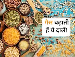 पेट में गैस और ब्लोटिंग का कारण हो सकती हैं ये 5 दालें, परेशानी बढ़ने पर डाइट में न करें शामिल
