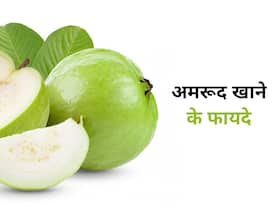 Benefits of Guava: देसी अमरूद को ना समझें मामूली फल, आंखो से लेकर हार्ट को बनाता है हेल्दी, जानें सभी फायदे Benefits of Guava: देसी अमरूद को ना समझें मामूली फल, आंखो से लेकर हार्ट को बनाता है हेल्दी, जानें सभी फायदे
