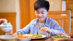 Know The Role Of Children's Diet Plans In Preventing Childhood Obesity