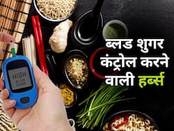 ब्लड शुगर को देखते ही देखते कंट्रोल कर देंगी ये 5 आयुर्वेदिक हर्ब्स, किसी दवा से कम नहीं ये जड़ी-बूटियां