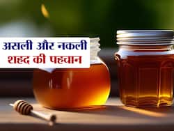 आपकी सेहत को लगातार खराब कर रहा है चीनी मिला हुआ शहद, इस खास तरीके से करें असली शहद की पहचान