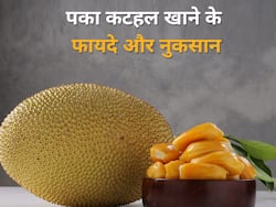 पके कटहल खाने के ये हैं 5 फायदे, जानिए किसे नहीं खाना चाहिए मीठे कटहल