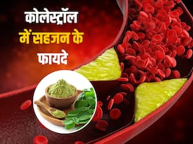नसों से कोलेस्ट्रॉल को सोख लेती हैं ये पत्तियां और फल, ज्यादातर लोग इस औषधि को करते हैं नजरअंदाज!