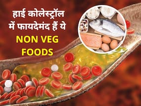 ये 5 नोन-वेज फूड्स भी करेंगे बैड कोलेस्ट्रॉल को कंट्रोल, जानें हाई कोलेस्ट्रॉल के लिए हेल्दी डाइट ये 5 नोन-वेज फूड्स भी करेंगे बैड कोलेस्ट्रॉल को कंट्रोल, जानें हाई कोलेस्ट्रॉल के लिए हेल्दी डाइट