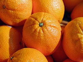 Correct Way Of Using Vitamin C Serum: Step By Step Guide To Make It Easy