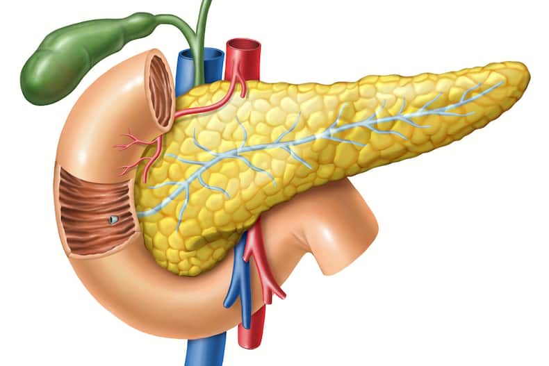 Organ Transplantation: A Medical Science Miracle Saving Thousands Of Lives In India