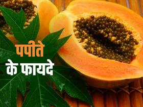 पेट से लेकर स्किन तक सबकी हेल्थ बढ़ाता है पपीता,पढ़ें इसके सभी गुण और फायदे