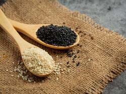 हड्डियों को कैल्शियम से भर देंगे तिल के बीज, जानें किस समय सेवन करना है सबसे ज्यादा फायदेमंद