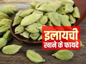 किचन में पड़ा ये मसाला है शुगर और हाई बीपी जैसी बीमारियों के लिए रामबाण, जानें सभी फायदे