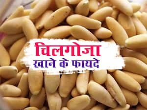 Pine Nuts Health Benefits: चिलगोजा खाने के फायदे