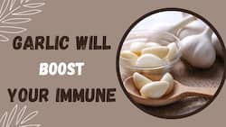 Your Immune System Will Now Benefit From Garlic!