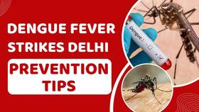 Delhi Dengue Scare: Symptoms, Prevention, and More! Delhi Dengue Scare: Symptoms, Prevention, and More!