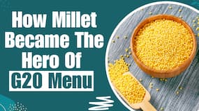 Delights at the G20 Summit:  Benefits Of Eating Nutrient-Rich Millets