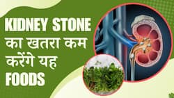 Kidney Stone Treatment: किडनी स्टोन को कम करेंगे यह Food Items, Diet में करें शामिल