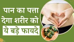 Betel Leaf Benefits: पान का पत्ता इन परेशानियों को करेगा दूर, जानें इसके फायदे