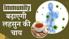 Garlic Tea Benefits: सेहत के लिए रामबाण है लहसुन की चाय, शरीर को मिलेंगे ये बड़े फायदे