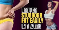 Belly Fat: Tips to Trim Your Tummy!