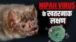 Nipah Virus Symptoms: ये हैं इस Virus के खतरनाक लक्षण, रहें सावधान!