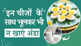 Foods To Avoid With Eggs: अंडे के साथ भूलकर भी ना खाएं ये Foods!