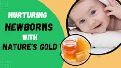 The Sweet Benefits of Honey for Babies!