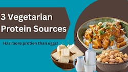 3 Nutrient-Rich Vegetarian Protein Sources
