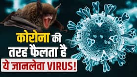 क्या Corona से भी ज्यादा जानलेवा है ये Nipah Virus? जानें क्या है पूरा सच क्या Corona से भी ज्यादा जानलेवा है ये Nipah Virus? जानें क्या है पूरा सच
