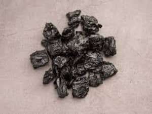 Shilajit: How Does This Ayurvedic Herbal Remedy Affect Cognitive Function?