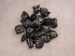 Shilajit: How Does This Ayurvedic Herbal Remedy Affect Cognitive Function?