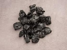 Shilajit: How Does This Ayurvedic Herbal Remedy Affect Cognitive Function? Shilajit: How Does This Ayurvedic Herbal Remedy Affect Cognitive Function?