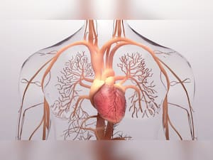 Stress: The Silent Architect Of Heart Disease